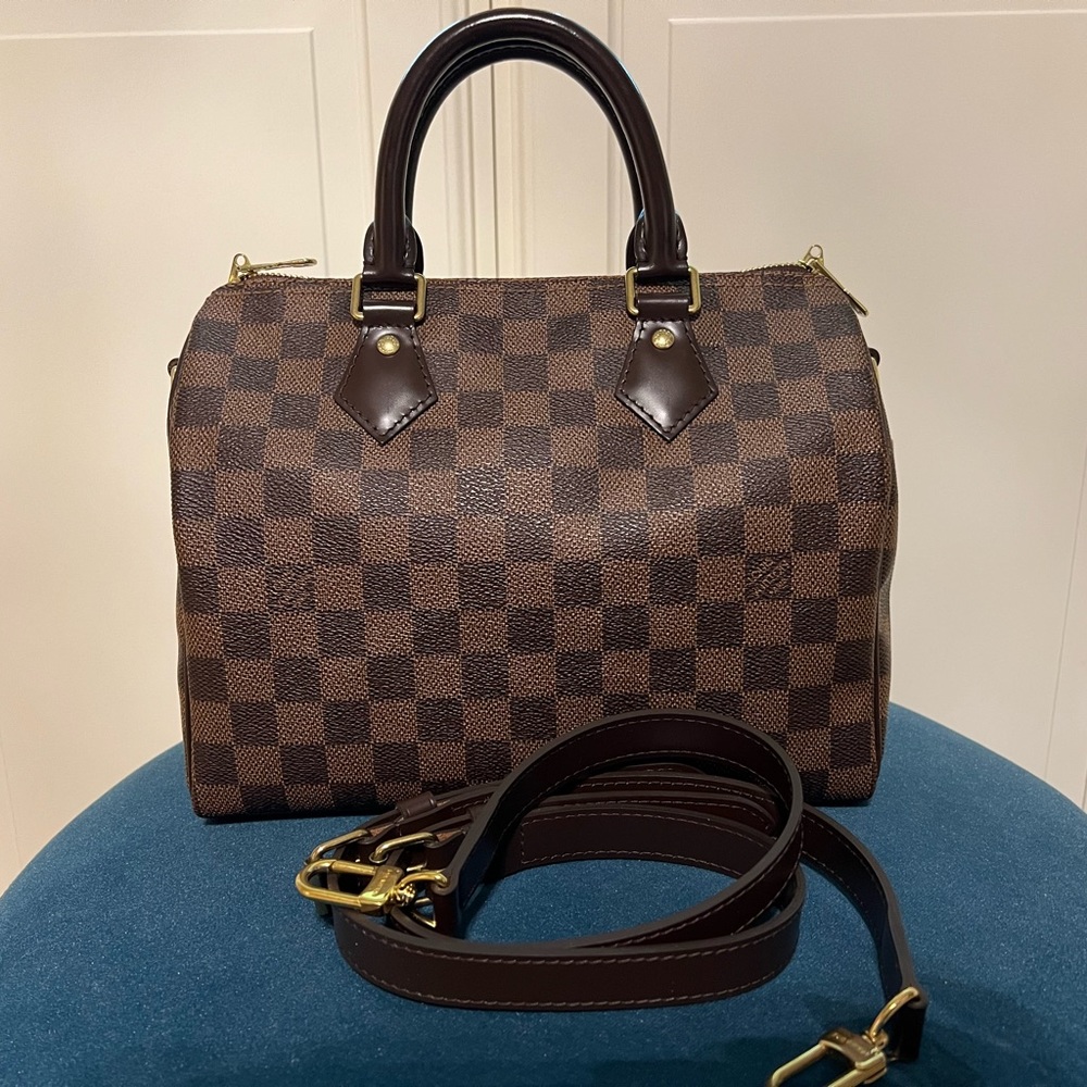 Louis Vuitton speedy 25 boundaries